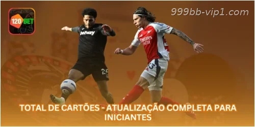 Total de Cartões - Atualização Completa para Iniciantes